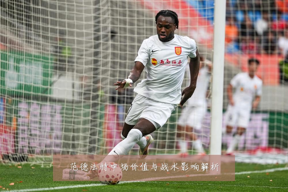 范德法特中场价值与战术影响解析